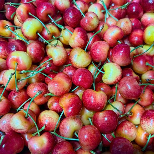 USA Premium Rainier Cherries