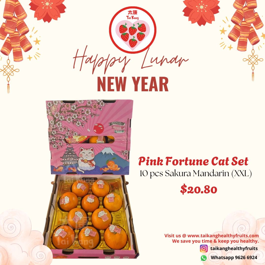 Pink Fortune Cat Sakura mandarin oranges CNY gift box