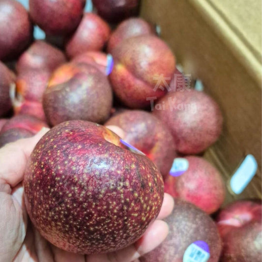 USA Tropical Burst Plum 3pc