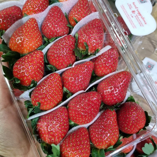 Driscoll Strawberry 250g