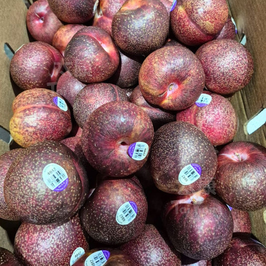 USA Tropical Burst Plum 3pc