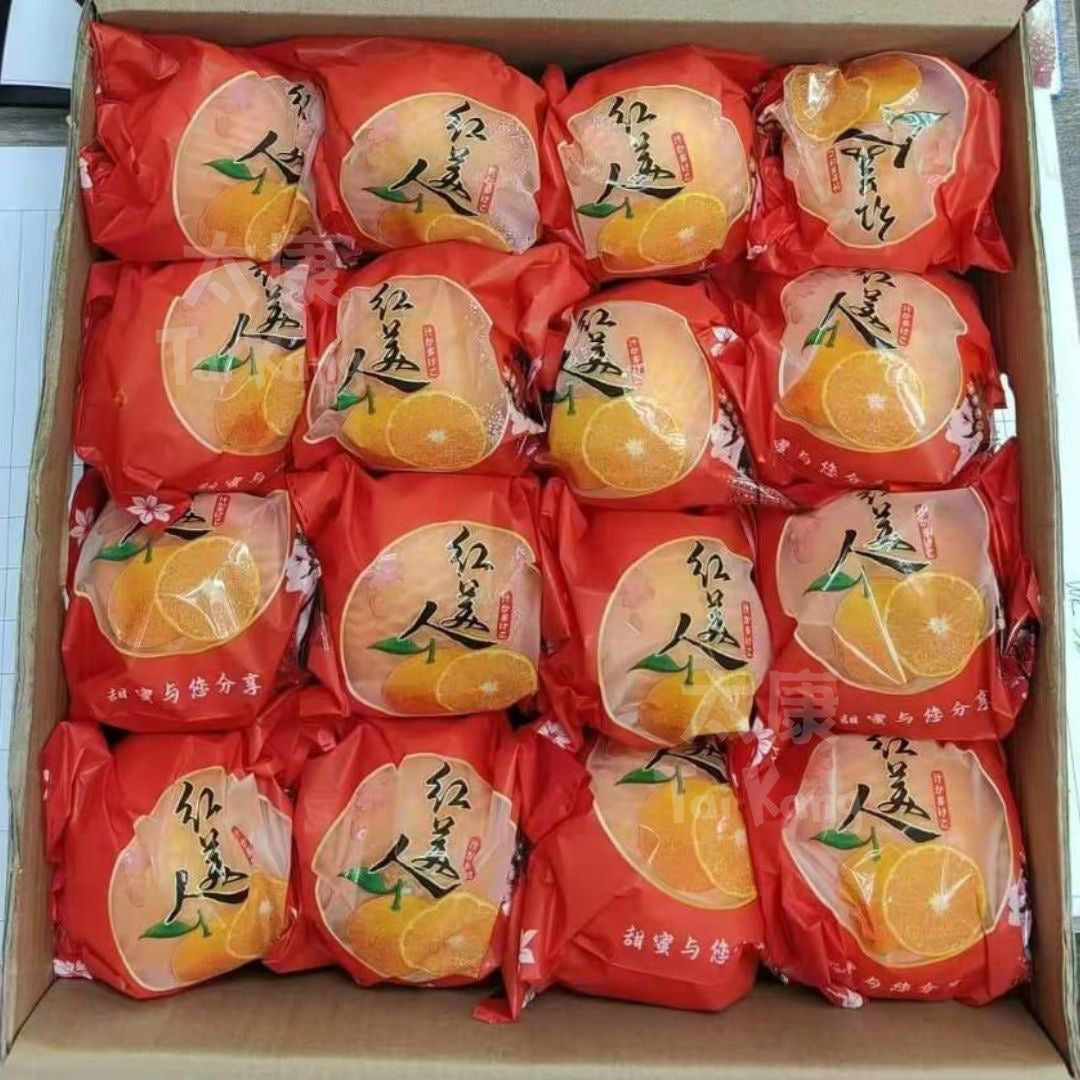Pretty Lady Orange 红美人