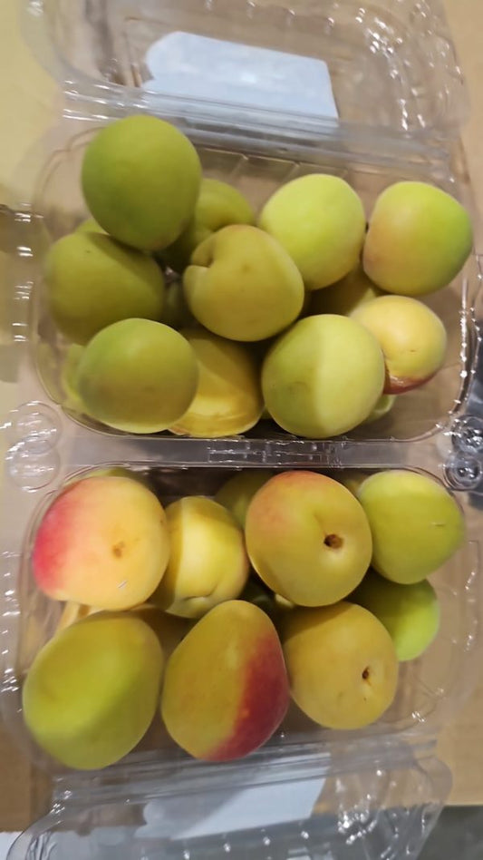 Turkey Sugar Apricot 350g *Limited!*