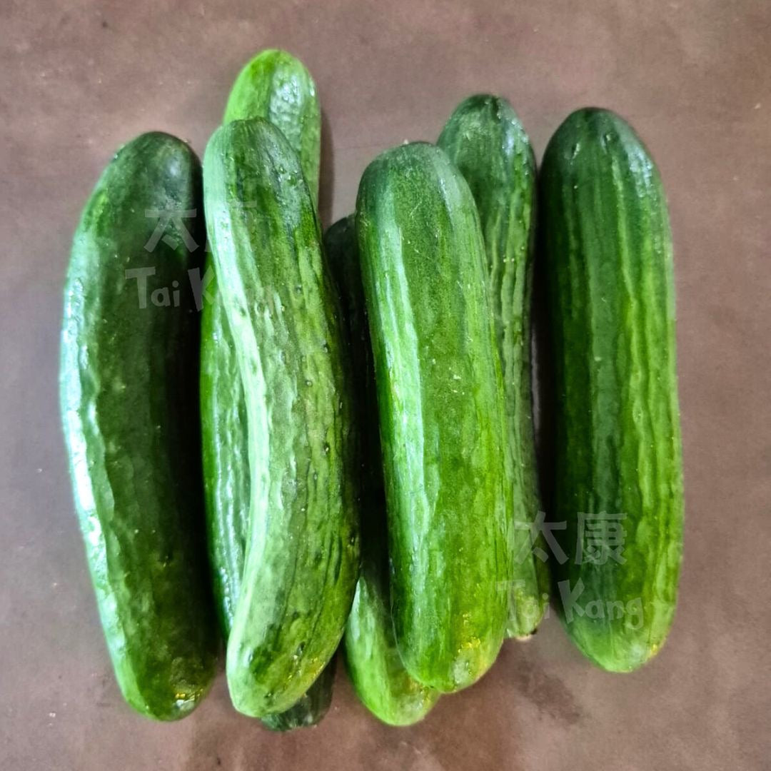 Mini Cucumber 500g