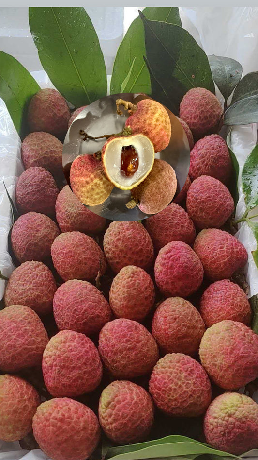 Premium Hainan Lychees