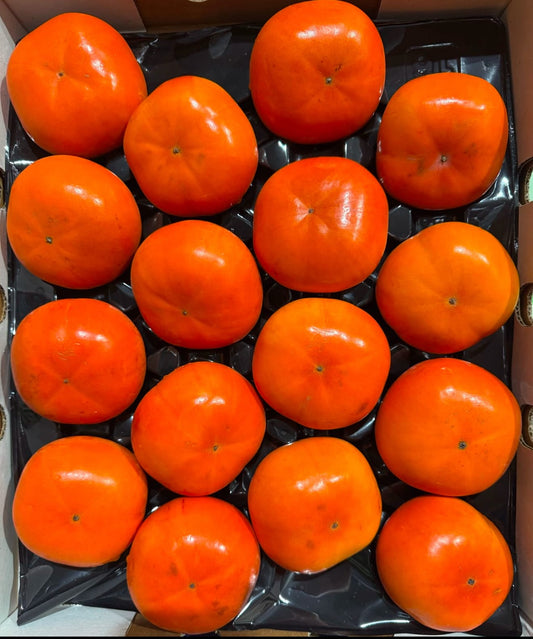 New Zealand Persimmon