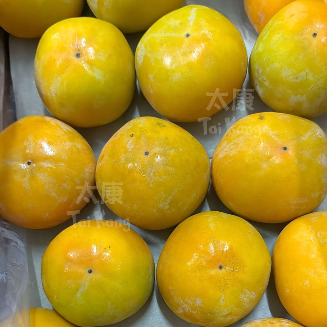 Korea Persimmon