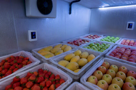 Assorted fresh fruit in refrigerated cold storage crates