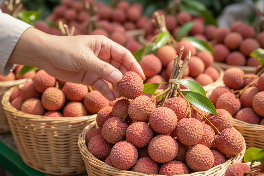 Hand selecting the best seasonal lychee from fresh baskets at a local market for healthy snacking