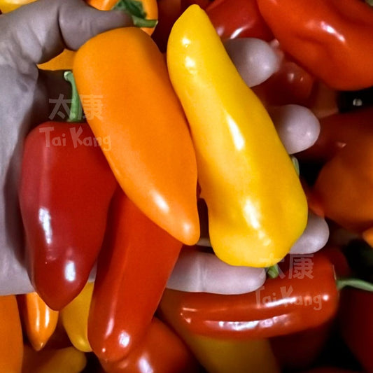 Mini Bell Peppers 500g