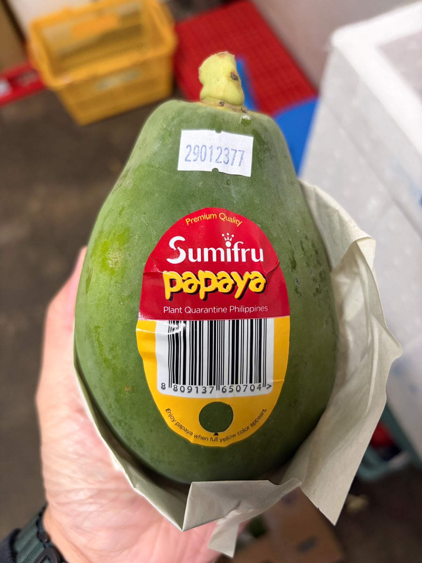 Philippines Sumifru Papaya