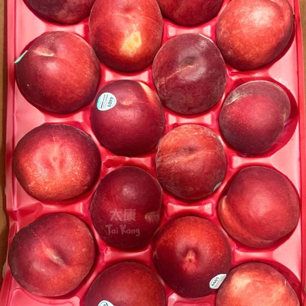 USA Snow Angel White Peach XL *Huge and Sweet!*