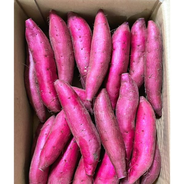 Japan Chiba Sweet Potato (~1kg) *Soft & Sweet!* - Tai Kang Healthy Fruits
