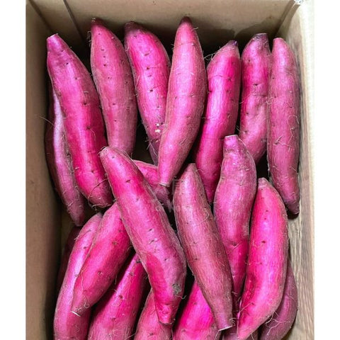 Japan Chiba Sweet Potato (~1kg) *Soft & Sweet!*