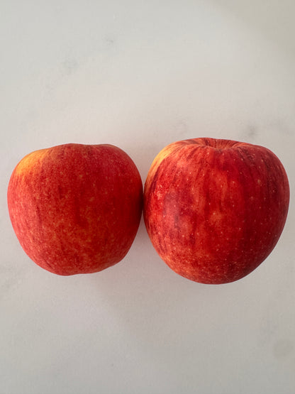 NZ Envy Apple XL - Tai Kang Healthy Fruits