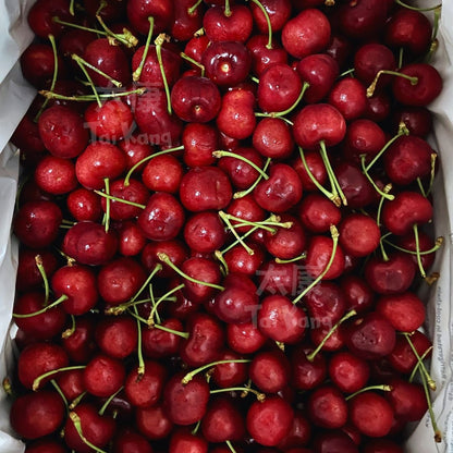 Premium Australia Cherries