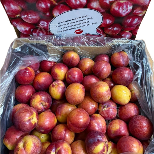 Australia Amber Jewel Plum 3pc