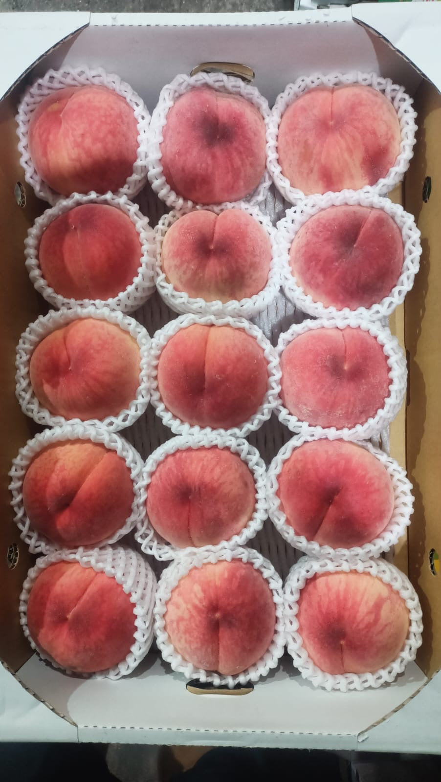 Japan Fukushima Peach
