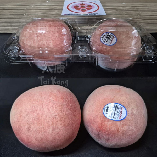 USA Snow Angel White Peach XL *Huge and Sweet!*