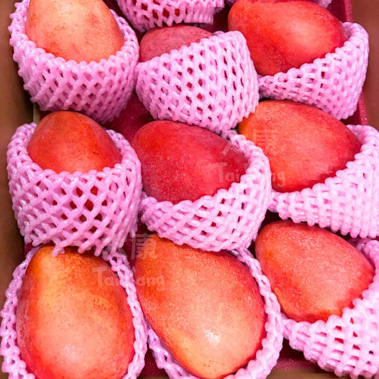 Taiwan Aiwen Mango