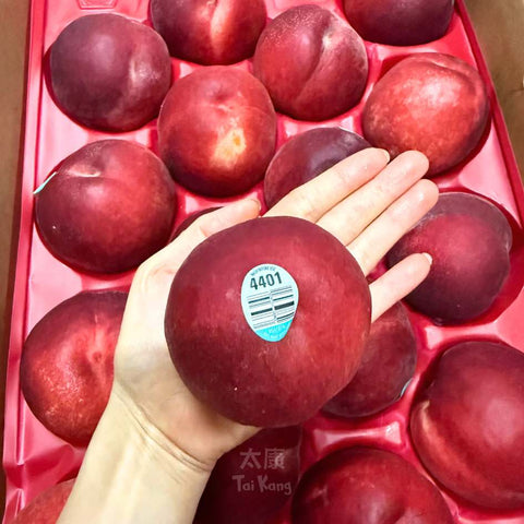 USA Snow Angel White Peach XL *Huge and Sweet!*