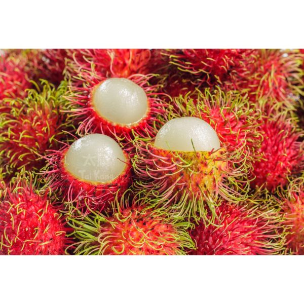 Thai Rambutan (1kg) *NEW!* - Tai Kang Healthy Fruits