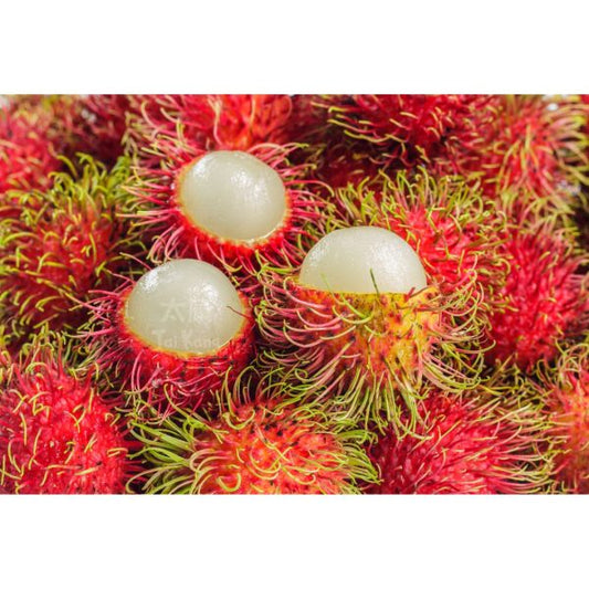 Thai Rambutan (1kg) *NEW!* - Tai Kang Healthy Fruits
