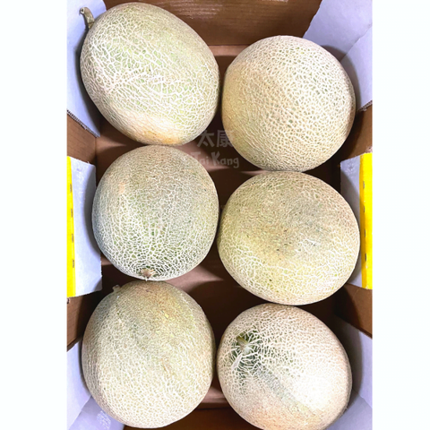 Australia RockMelon (L)