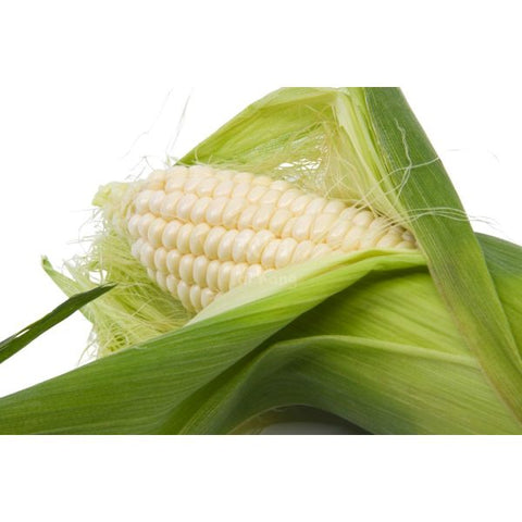 Grade A Sweet Pearl White Corn (3pcs)