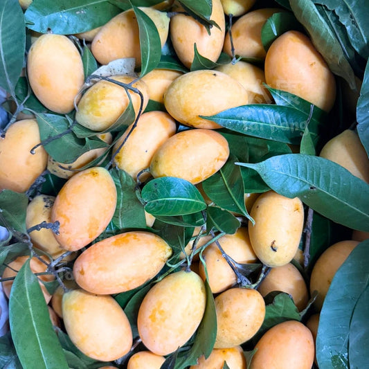 Thai Maprang (Mango Plum)