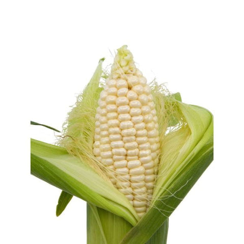 Grade A Sweet Pearl White Corn (3pcs)