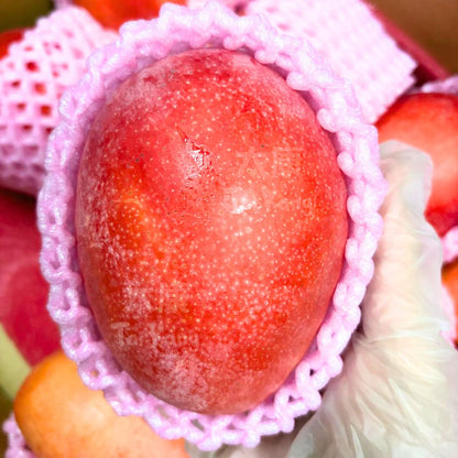 Taiwan Aiwen Mango