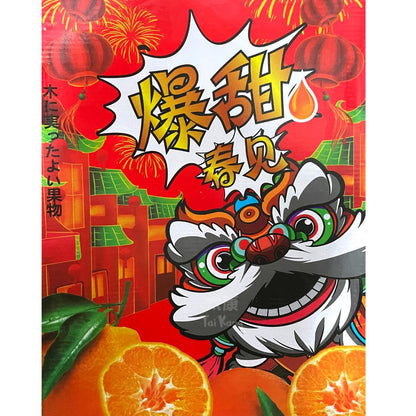 Pa Pa Gan Orange, Chun Jian