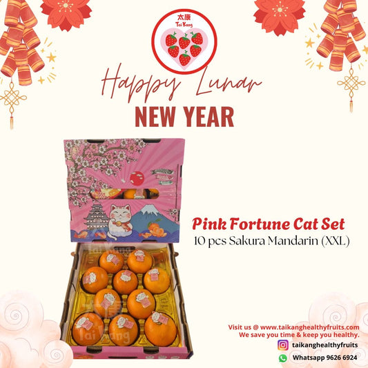 Pink Fortune Cat Sakura mandarin oranges gift box *Instocks for gifting now*