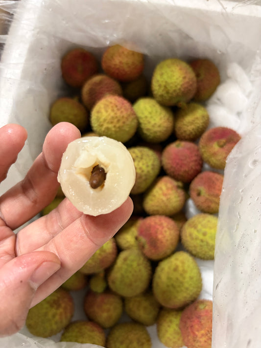 Premium Fei Zi Xiao (妃子笑) Lychee