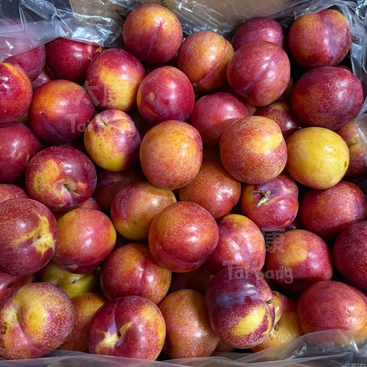 Australia Amber Jewel Plum 3pc