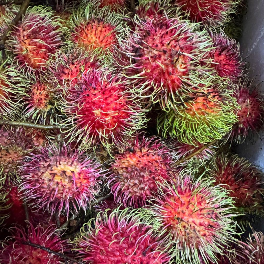Thai Rambutan (1kg) *NEW!* - Tai Kang Healthy Fruits