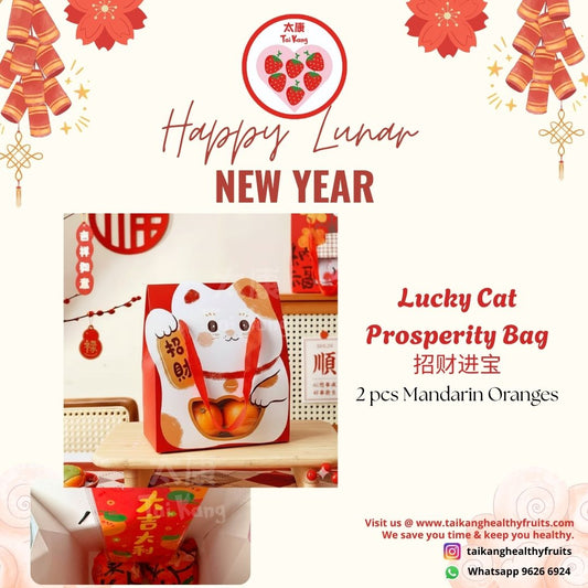 CNY Auspicious Gift Bag (2pc mandarin orange & red packet)