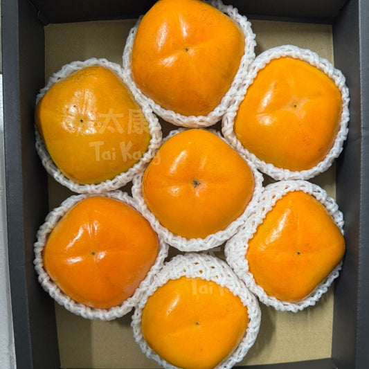 JAPAN Tonewase Persimmon M (Nishinoshino Kaki) NEW!