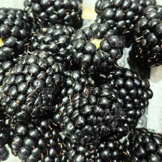 Driscoll Blackberries