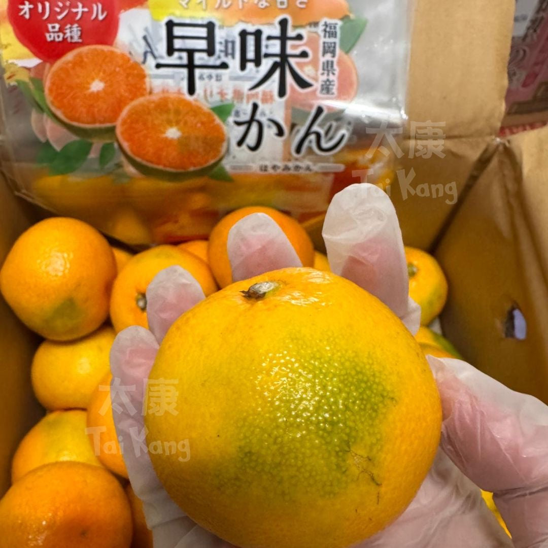 Japan Fukuoka Hayamikan 400g