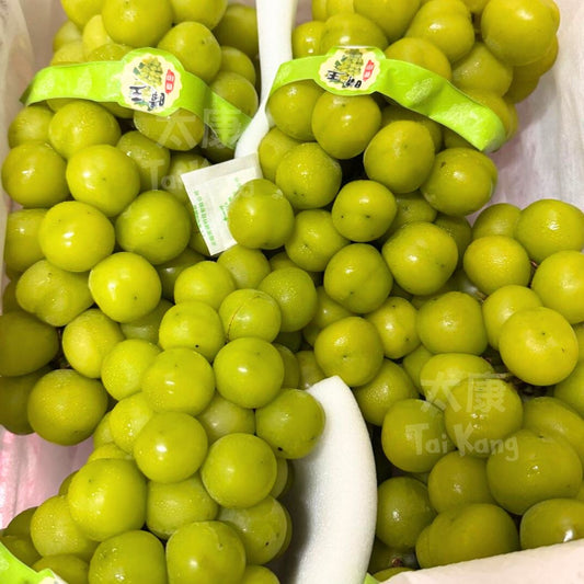 Premium JUMBO Shine Muscat (>1.5KG) *Huge and Crunchy*