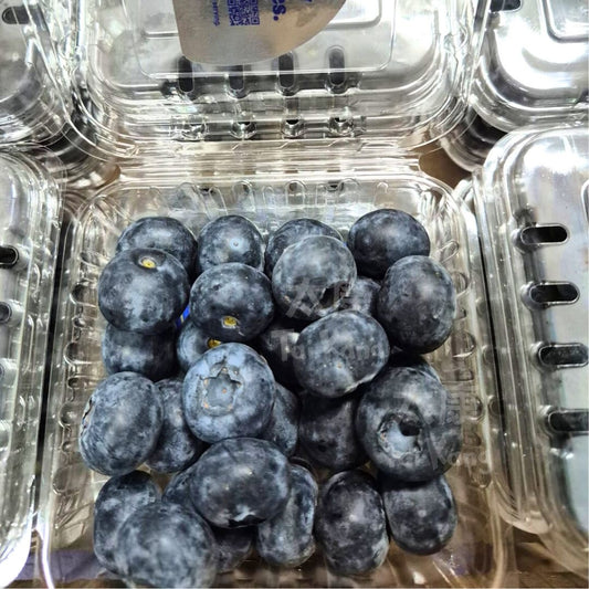 Family Tree Jumbo Blueberry