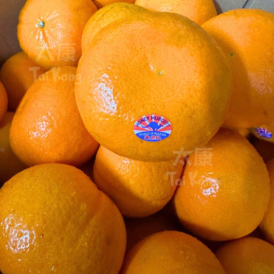 Honey Murcott Mandarin XL 5pc