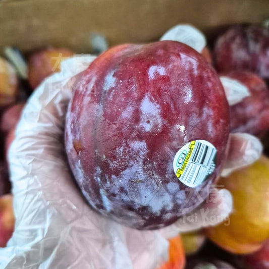USA Premium Flavor Pluot 3pcs