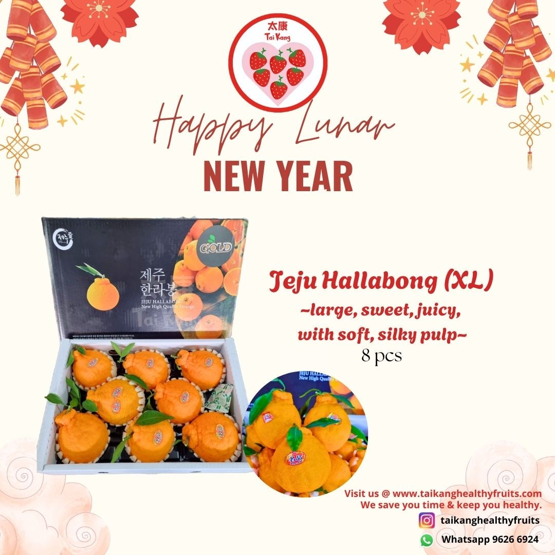 Jeju Hallabong Tangerines