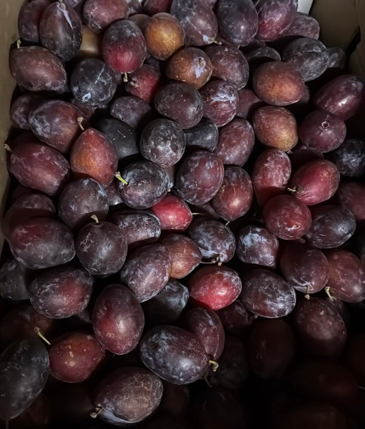 USA Premium Sugar Plum 400g