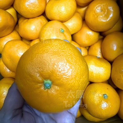 Japan Ehime Mikan 1kg