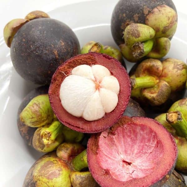 Thai Mangosteen (1kg) *NEW!*