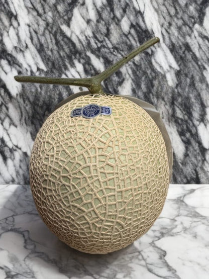 Shizuoka Crown Melon *King of Fruits!*